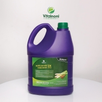 NƯỚC LAU SÀN THẢO DƯỢC VITALNONI
Can 3 lít