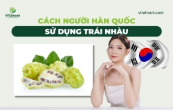 Cách Người Hàn Quốc Sử Dụng Trái Nhàu và các công dụng
