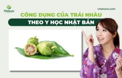 Công dụng của Trái nhàu theo Y học Nhật Bản