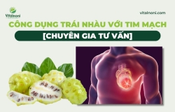 Công Dụng Trái Nhàu Với Tim Mạch [Chuyên gia Tư Vấn]