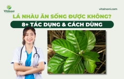 Lá Nhàu Ăn Sống Được Không? 8+ Tác Dụng & Cách Dùng