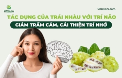 Tác Dụng Của Trái Nhàu Với Trí Não: Giảm Trầm Cảm, Cải Thiện Trí Nhớ