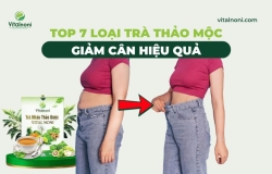 Top 7 Loại Trà Thảo Mộc Giảm Cân Hiệu Quả