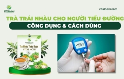Trà Trái Nhàu Cho Người Tiểu Đường: Công Dụng & Cách Dùng