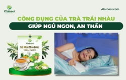 Công dụng của Trà Trái Nhàu Giúp Ngủ Ngon, An Thần