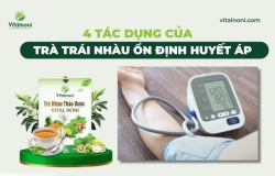 4 Tác Dụng của Trà Trái Nhàu Ổn Định Huyết Áp