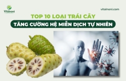 TOP 10 loại Trái Cây Tăng Cường Hệ Miễn Dịch tự nhiên