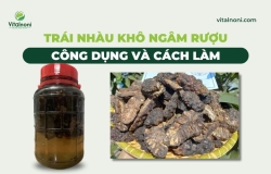 Trái Nhàu khô ngâm Rượu​: Công dụng và Cách làm