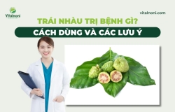 Trái Nhàu Trị Bệnh Gì? Cách dùng và các Lưu Ý