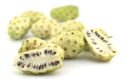 Damnacanthal là gì? Hoạt chất anthraquinone đặc biệt trong cây nhàu và tác dụng của nó