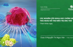 Các nghiên cứu khoa học chứng minh Trái Nhàu hỗ trợ ngăn ngừa và điều trị ung thư 