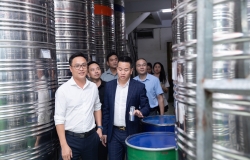 Sản xuất nước cốt nhàu ở đâu uy tín nhất? 5 tiêu chí chọn đúng nhà máy