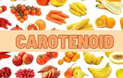 Carotenoid trong trái Nhàu là gì? “Kho hoạt chất vàng” cùng iridoid, flavonoid, coumarin, polysaccharide