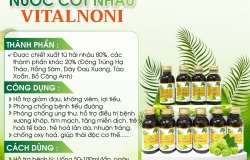 Nước cốt nhàu trị bệnh gì? Giải mã tác dụng nước cốt trái nhàu Vitalnoni với tiểu đường, huyết áp, xương khớp