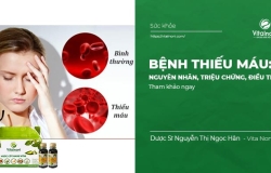 Bệnh Thiếu Máu: Nguyên Nhân, Triệu Chứng, Điều Trị