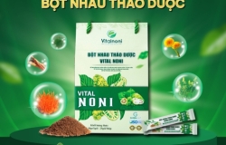 Công dụng bột nhàu: Giải pháp chăm sóc sức khỏe & trẻ hóa từ bên trong