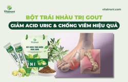 Bột Trái Nhàu Trị Gout: Giảm Acid Uric & Chống Viêm Hiệu Quả