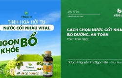 Cách chọn Nước Cốt Nhàu bổ dưỡng, an toàn cho sức khỏe