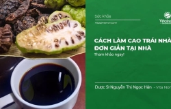 Cách làm Cao Trái Nhàu trị bệnh tại nhà