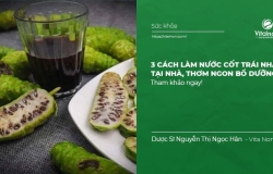 3 Cách Làm Nước Cốt Trái Nhàu tại nhà thơm ngon bổ dưỡng