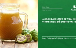 4 Cách làm Nước Ép trái Nhàu tại nhà: Thơm ngon bổ dưỡng