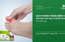Cách Phòng Tránh Bệnh Gút: Kiểm Soát Acid Uric & Chế Độ Ăn Uống