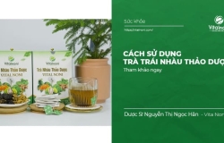 Cách sử dụng Trà Trái Nhàu thảo dược hiệu quả