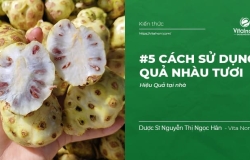 #5 Cách sử dụng quả Nhàu tươi Hiệu Quả tại nhà