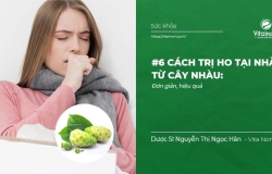 #6 cách Trị Ho tại nhà từ cây Nhàu: Đơn giản, hiệu quả