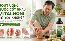 Gout uống nước cốt nhàu Vitalnoni có tốt không?