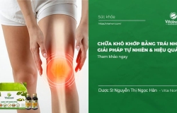 Chữa Khô Khớp Bằng Trái Nhàu (Noni): Giải Pháp Tự Nhiên & Hiệu Quả