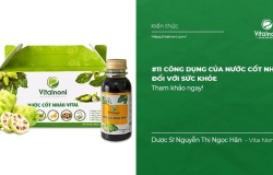 11 Công dụng của Nước Cốt Nhàu đối với Sức Khỏe