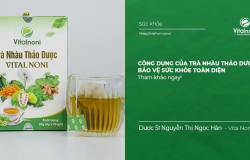Công dụng của Trà Nhàu Thảo Dược: Bảo vệ Sức Khỏe toàn diện