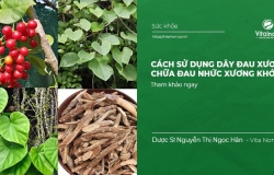 Sử dụng Dây Đau Xương chữa Đau Nhức Xương Khớp