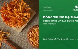 Đông Trùng Hạ Thảo: Công dụng và tác dụng phụ