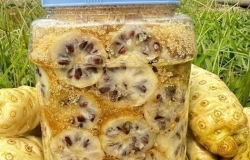 Trái nhàu ngâm với đường cát vàng uống trị bệnh gì?  Sự thật cần biết trước khi dùng mỗi ngày