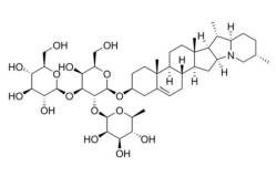 Saponin trong trái nhàu có tác dụng gì với sức khỏe?