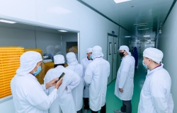 Thư mời hợp tác xuất khẩu Noni (trái nhàu) & sản phẩm từ nhàu: nguyên liệu – OEM/ODM – phân phối