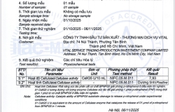 Tầm quan trọng của enzyme Cellulase trong sức khỏe con người