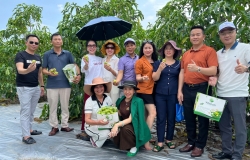 Hành trình 12/11 – Ngày Vitalnoni được lan tỏa niềm tin từ vườn nhàu sạch