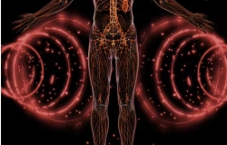 Có nên sử dụng cabin thải độc (cabin sinh học)? Lợi ích, lưu ý và những hiểu lầm thường gặp