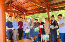 Làm giàu bền vững từ cây Nhàu (Noni)
