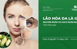 Lão Hóa Da là gì? Nguyên nhân và cách ngăn ngừa