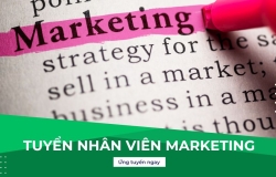 Tuyển Nhân viên Marketing