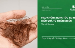 Mẹo Chống Rụng Tóc Tại Nhà Hiệu Quả Từ Thiên Nhiên