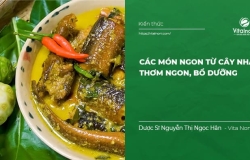 Các món Ngon từ cây Nhàu: Thơm Ngon, Bổ Dưỡng