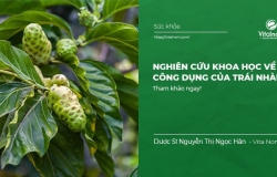 Nghiên cứu khoa học về công dụng của Trái Nhàu