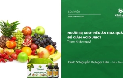 Người Bị Gout nên ăn hoa quả gì để Giảm Acid Uric?