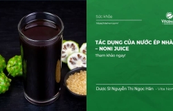 Tác dụng của Nước Ép trái Nhàu – Noni Juice