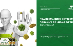 Trái nhàu, nước cốt nhàu Tăng sức đề kháng hệ miễn dịch